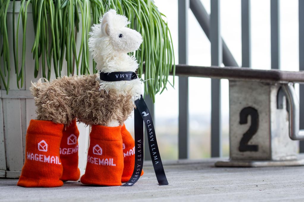 Ein Lama mit MageSocks. Das ist die Magento-Community. (c) @guido