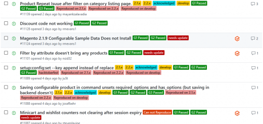 Übersichts-Liste von Issues auf GitHub mit Labels wie "G1 Passed"