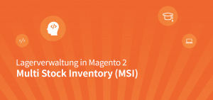 Multi Stock Inventory (MSI) und Lagerverwaltung in Magento 2